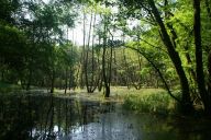 Bzenecká dúbrava – cesta za přírodou, pouští mezi loupežníky Bzenecká dúbrava – cesta za přírodou, pouští mezi loupežníky : Psát tipy na výlet je věcí značně ošidnou. To v čem…