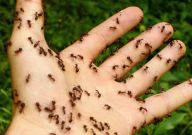 Děsí vás příroda? Máme seznam 50 fobií z přírody, jistě tam bude i ta vaše Děsí vás příroda? Máme seznam 50 fobií z přírody, jistě tam bude i ta vaše: Bojíte se pavouků, děsí vás netopýři? Máte strach z…