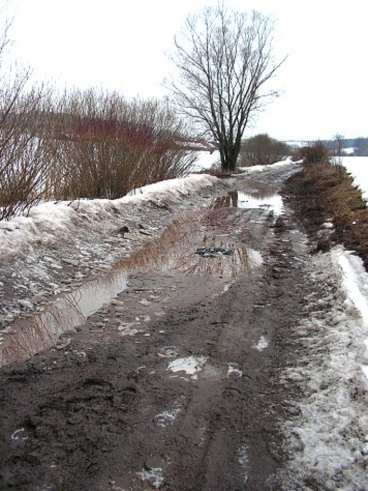 zobrazit detail snímku: Rozbahněná cesta