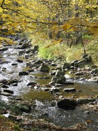 Ochrana nižších rostlin - Řasy Ochrana nižších rostlin - Řasy: Ač ochrana řas nebyla dosud samostatně nijak zvlášť…