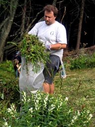 Dobrovolnické akce a brigády na léto Dobrovolnické akce a brigády na léto: Je tu červen a většina z Vás zajisté přemýšlí kam na…