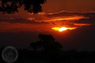 Na Nový rok o slepičí krok Na Nový rok o slepičí krok : Jistě všichni dobře znáte pranostiky typu „na Nový…