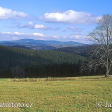 Šumava