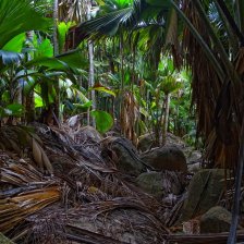 Údolí Vallée de Mai