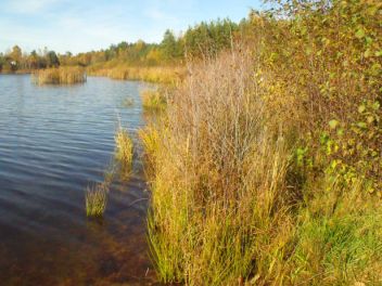 Litoral - klikněte pro zobrazení detailu Litoral - klikněte pro zobrazení detailu