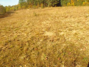 Písčiny - klikněte pro zobrazení detailu Písčiny - klikněte pro zobrazení detailu