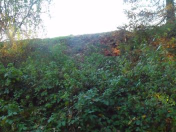 Ruderal - klikněte pro zobrazení detailu Ruderal - klikněte pro zobrazení detailu