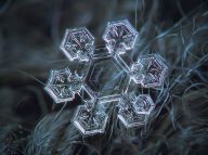 Jak vzniká sněhová vločka? Jak vzniká sněhová vločka?: Zima nám konečně připravila skutečný sníh a mráz.…