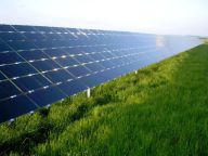 Pracují solární články efektivněji než rostliny? Pracují solární články efektivněji než rostliny? : Co myslíte? Jsou při výrobě energie efektivnější…