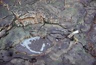 Rezervace Soos Rezervace Soos: Není to tak dávno, co jsem vás v jednom ze svých…