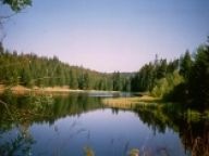 Ekologické čistící a prací prostředky Ekologické čistící a prací prostředky: Aneb jak udržet účinnost naší domovní čistírny na…