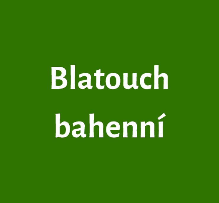 zobrazit detail snímku: Blatouch bahenní