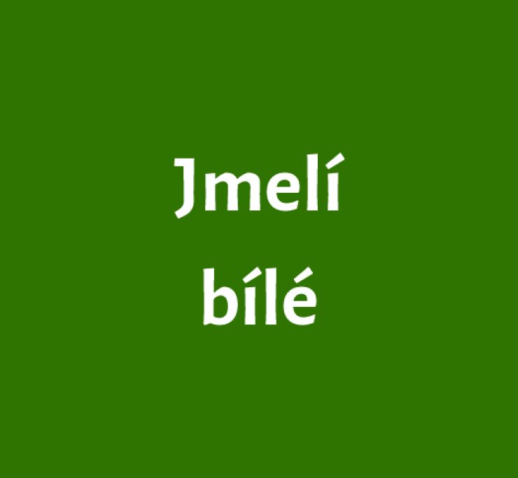 zobrazit detail snímku: Jmelí bílé