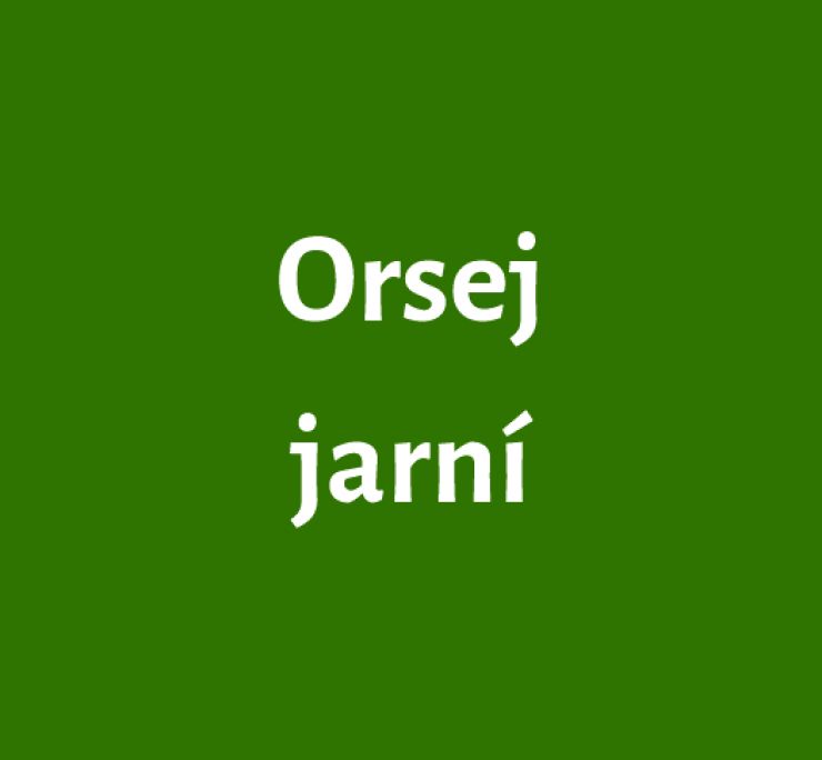 zobrazit detail snímku: Orsej jarní