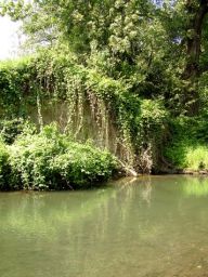 Přírodní památka Meandry Lučiny - procházka krásnou přírodou Přírodní památka Meandry Lučiny - procházka krásnou přírodou: Tuto přírodní památku můžeme nalézt na jihozápadní…