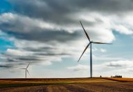 Naděje pro ptáky umírající na lopatkách věrných turbín Naděje pro ptáky umírající na lopatkách věrných turbín: Obnovitelné zdroje energie jsou často představovány…