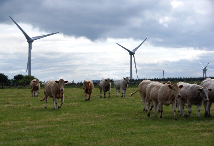 zobrazit detail snímku: Větrná elektrárna