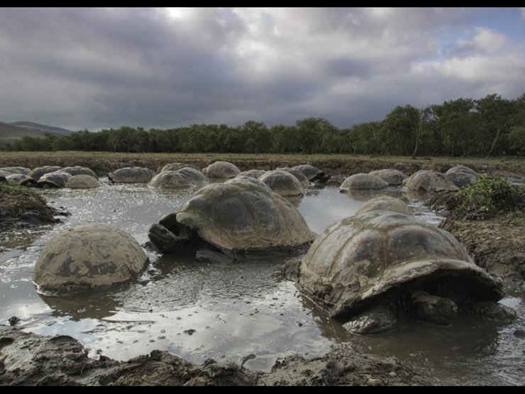 zobrazit detail snímku: Galapágy