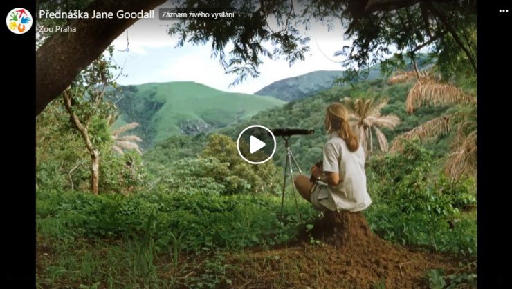 zobrazit detail snímku: Záznam přednášky Jane Goodall v Praze.