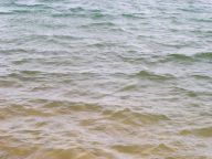 Vodni lobbing Vodni lobbing: Komentář jednoho z našich redaktorů na projednávání…