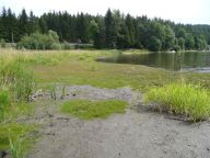 EKOZÓNA I. – aneb COPAK SE TO DĚJE NA LIPNĚ? EKOZÓNA I. – aneb COPAK SE TO DĚJE NA LIPNĚ?: Když se v roce 1952 začala budovat největší česká…