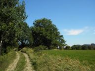 CHŘIBY, to nejsou jen hřiby CHŘIBY, to nejsou jen hřiby: Kdo by vyrůstal v představě, že jih Moravy je…