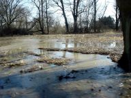 Kulminace a záplavy na labském náhonu mezi Opatovicemi a Vysokou n/L Kulminace a záplavy na labském náhonu mezi Opatovicemi a Vysokou n/L: Meteorologové sice nepředpokládají velké povodně,…