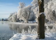 Ledovka, náledí a námraza – není to totéž Ledovka, náledí a námraza – není to totéž: Všechny tři výrazy slýcháme čas od času v předpovědi…