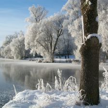 O Martinovi na bílém koni z pohledu vědy O Martinovi na bílém koni z pohledu vědy