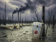 České vlády tváří v tvář ekologii: Kdo obstál a kdo selhal? České vlády tváří v tvář ekologii: Kdo obstál a kdo selhal?: Od sametové revoluce v roce 1989 se v čele naší země…