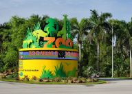 Miamská ZOO kvůli hurikánu Irma schovala zvířata do bunkrů Miamská ZOO kvůli hurikánu Irma schovala zvířata do bunkrů: ZOO Miami se rozhodla, že zvířata evakuovat nebude.…